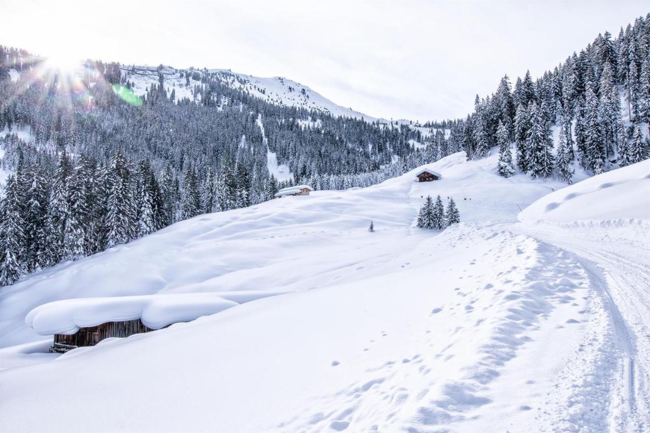 Lodge Schoenfeld Schlitters Luaran gambar